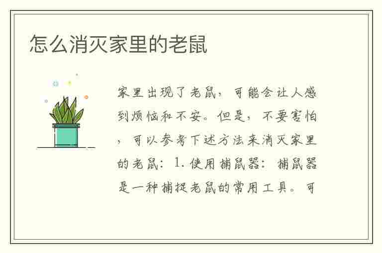 怎么消灭家里的老鼠(怎么消灭家里的老鼠消灭老鼠的好方法分享)